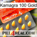 Kamagra 100 Gold new01